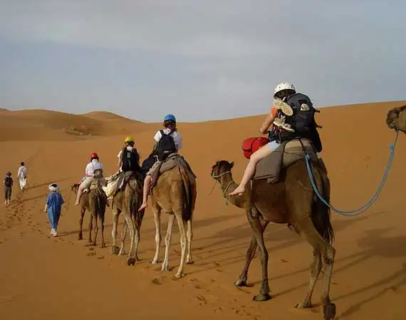 balade en dromadaires désert Maroc