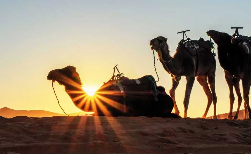 coucher soleil desert maroc