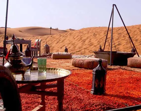  Bivouac desert erg chebbi merzouga