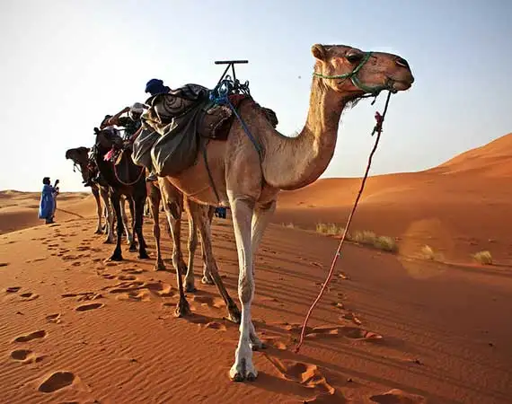 Excursion desert merzouga depart Ouarzazate