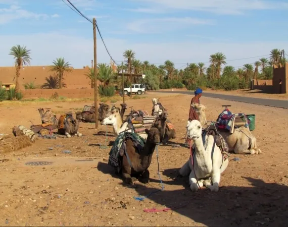 randonnee desert marocain