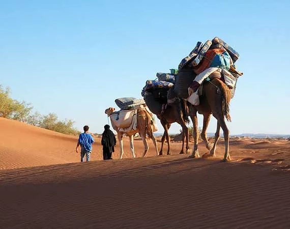 trek desert marocain 